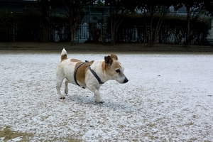 DSC_6153c.jpg