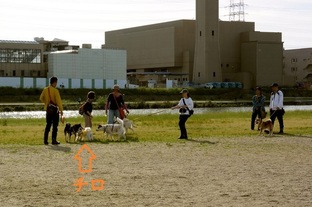 DSC_6216(1)c.jpg