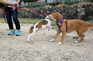 DSC_6255c.jpg
