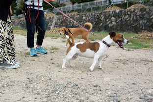 DSC_6256c.jpg