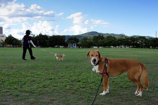 DSC_6282c.jpg