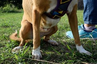 DSC_6287c.jpg
