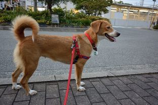 DSC_6287c.jpg