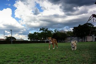 DSC_6289c.jpg