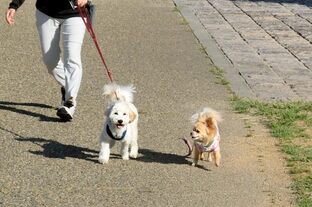 DSC_6301c.jpg