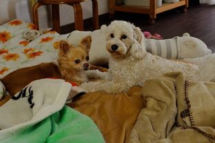 DSC_6326c.jpg