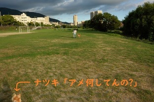 DSC_6356c.jpg