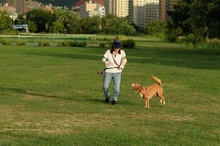 DSC_6359c.jpg