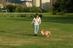 DSC_6360c.jpg