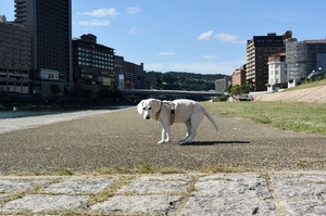 DSC_6362c.jpg