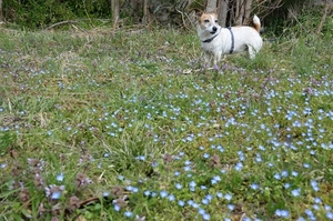 DSC_6465c.jpg