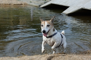 DSC_6660c.jpg