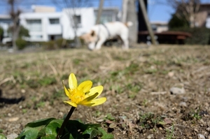 DSC_6673c.jpg