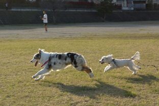 DSC_6789c.jpg