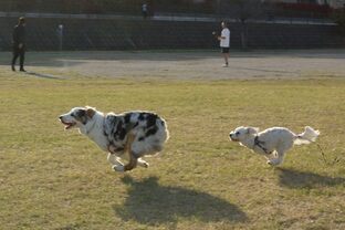 DSC_6790c.jpg