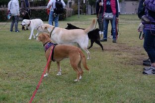 DSC_6801c.jpg