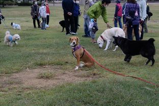 DSC_6817c.jpg