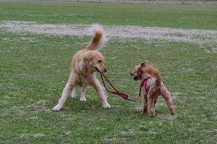 DSC_6866c.jpg