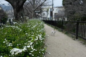 DSC_6877c.jpg