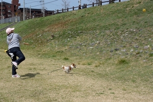 DSC_6877c.jpg