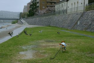 DSC_6897c.jpg