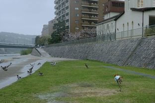 DSC_6900c.jpg
