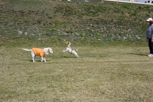 DSC_6935c.jpg