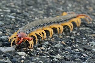 DSC_6943c.jpg