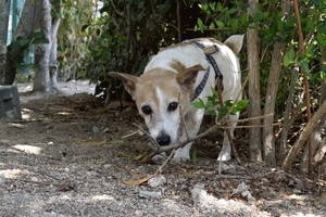 DSC_6966c.jpg