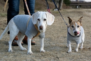 DSC_6994c.jpg