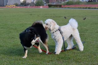 DSC_6999c.jpg
