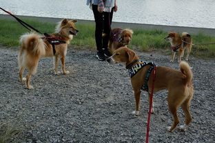 DSC_7006c.jpg