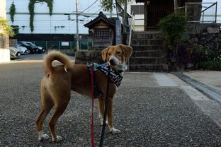 DSC_7024c.jpg