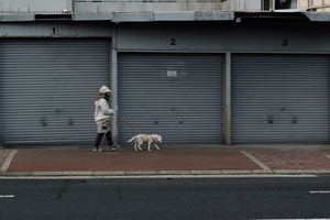 DSC_7161c.jpg