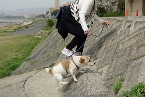 DSC_7177c.jpg
