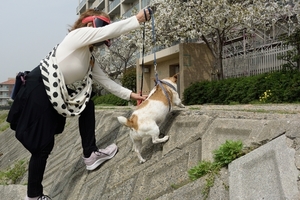 DSC_7181c.jpg