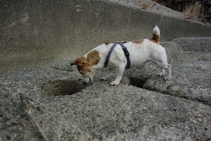 DSC_7181c.jpg