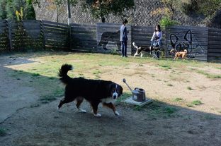 DSC_7184c.jpg