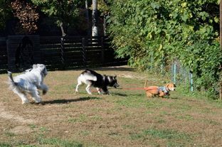 DSC_7190c.jpg
