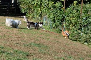 DSC_7193c.jpg