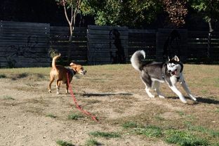DSC_7203c.jpg