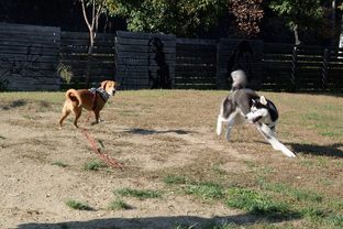 DSC_7204c.jpg