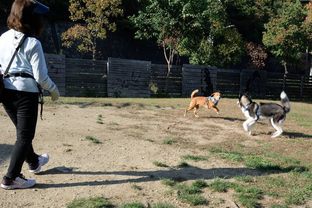 DSC_7205c.jpg