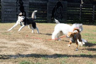 DSC_7209c.jpg