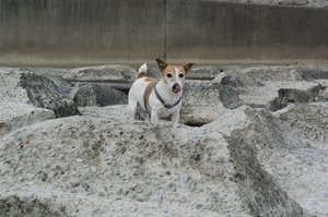 DSC_7218c.jpg