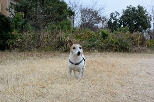 DSC_7280c.jpg
