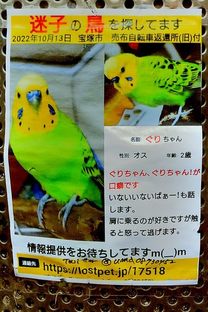 DSC_7372c.jpg
