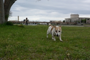 DSC_7414c.jpg