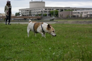 DSC_7423c.jpg