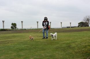 DSC_7424c.jpg